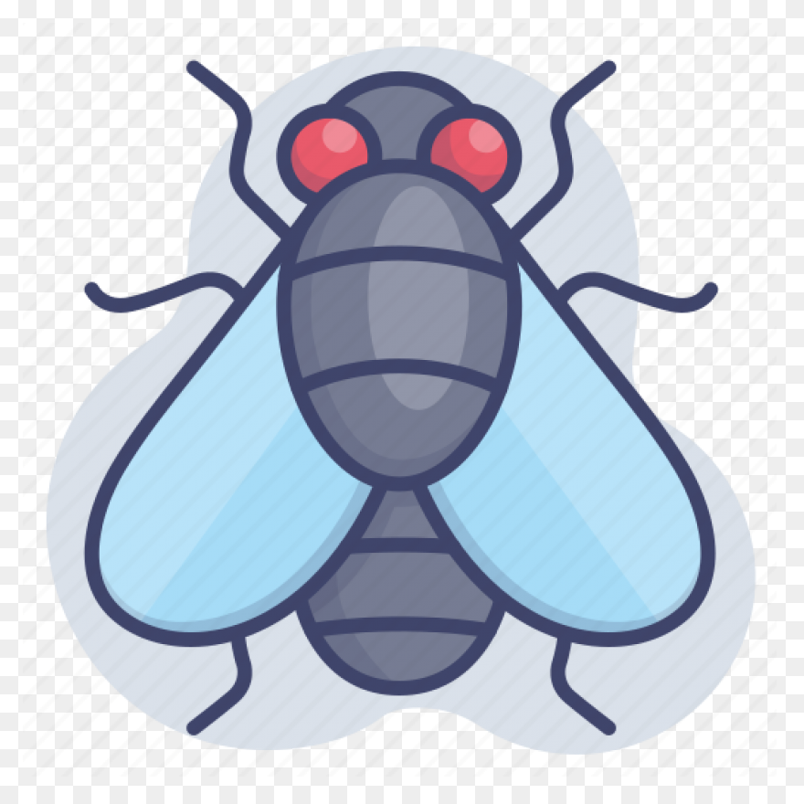 Flies Clip Art - Flies Image | Clip