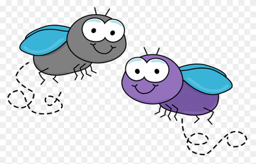 Flies Clipart Flies Image | - Flies
