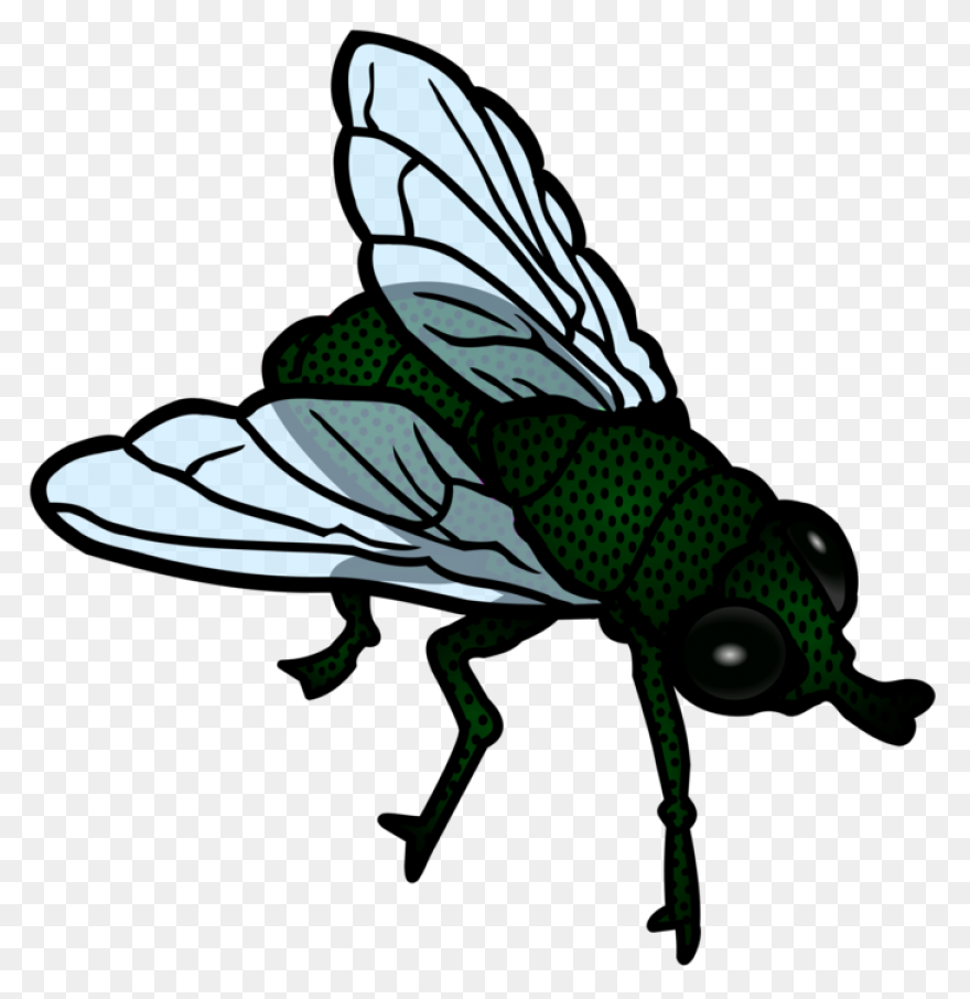 Flies Clip Art - Flies Image | Clip