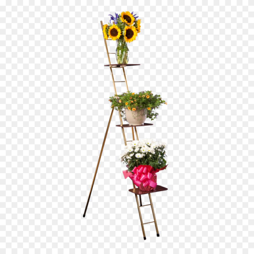 Lightbox Moreview - Flower Stand Pn