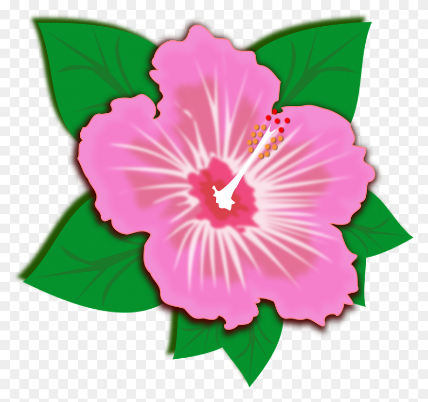 Pin Flor Clipart - Flowers Drawing 
