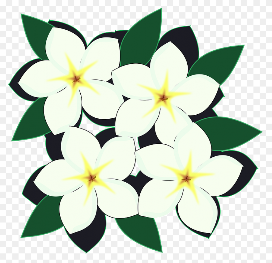 Pin Flor Clipart - Flowers Drawing 