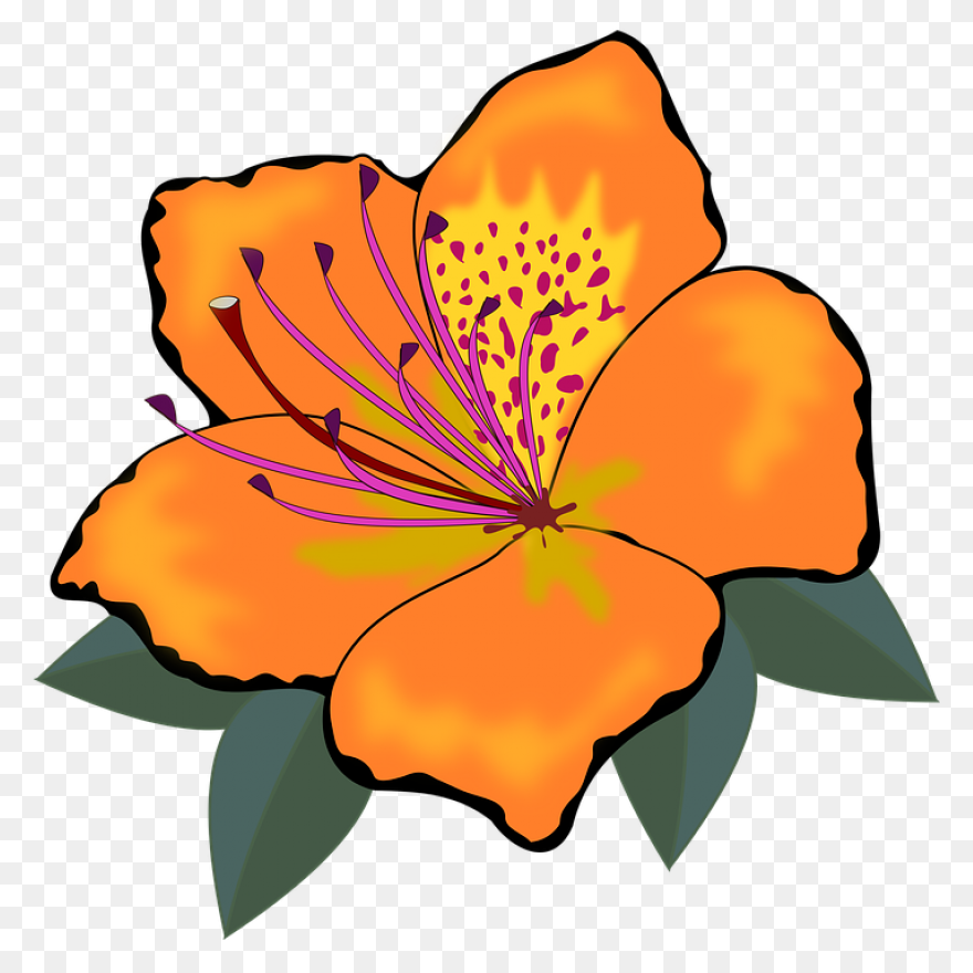 Pin Flor Clipart - Flowers Drawing 
