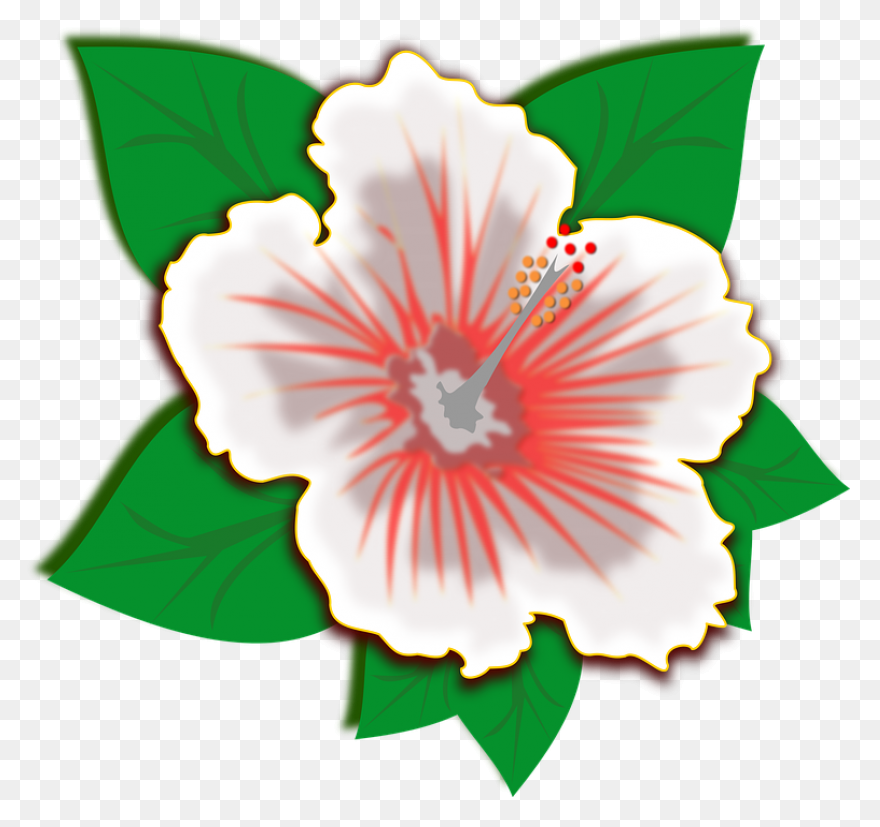Pin Flor Clipart - Flowers Drawing 