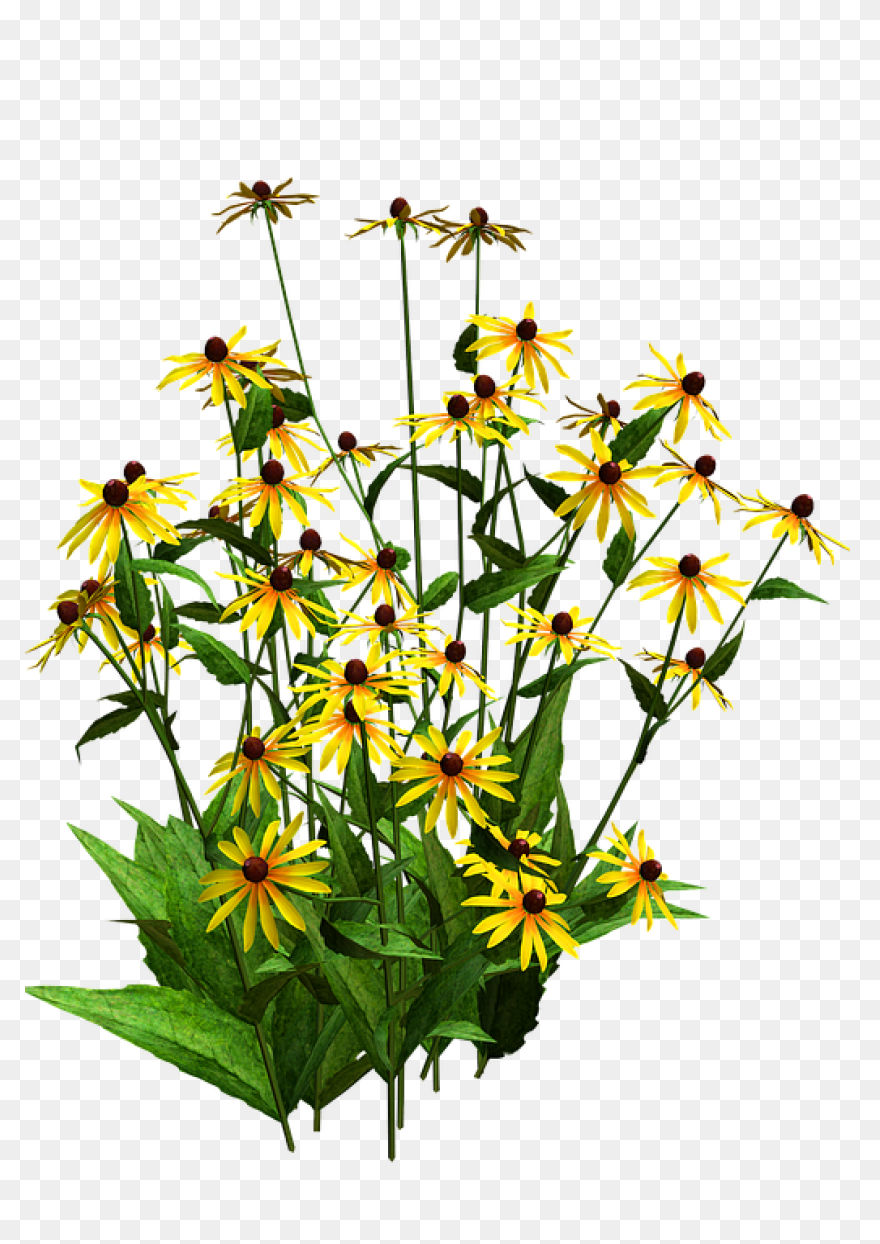 Flower Bush | Cutie Sunflower Wiki 