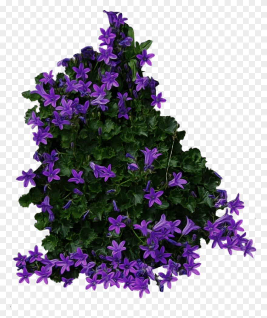 Flower Bush | Cutie Sunflower Wiki 