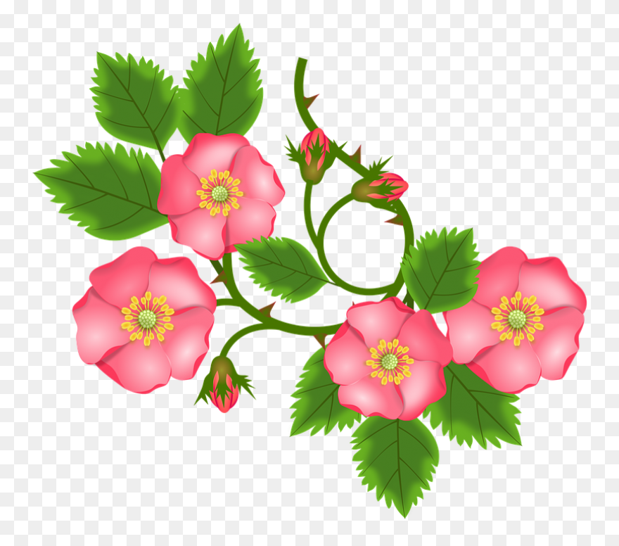 Flower Bush | Cutie Sunflower Wiki 
