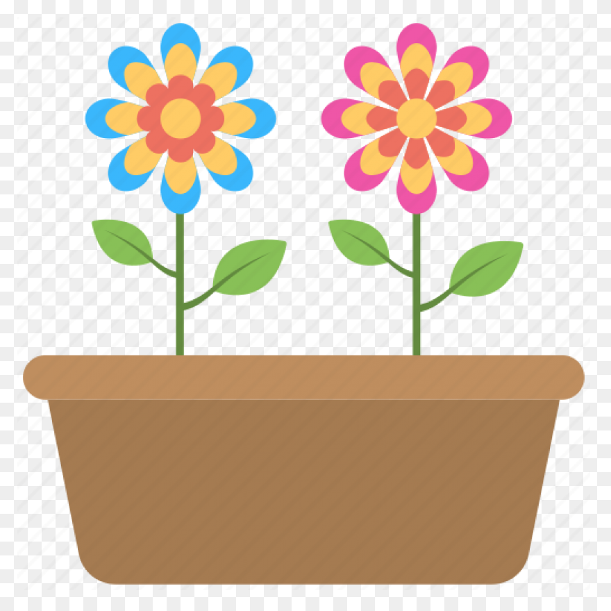Flowers, Nature, Plants, Sunflower,
