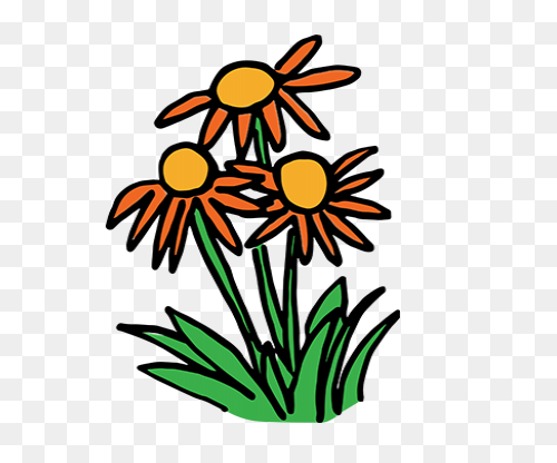 Flowers, Nature, Plants, Sunflower,