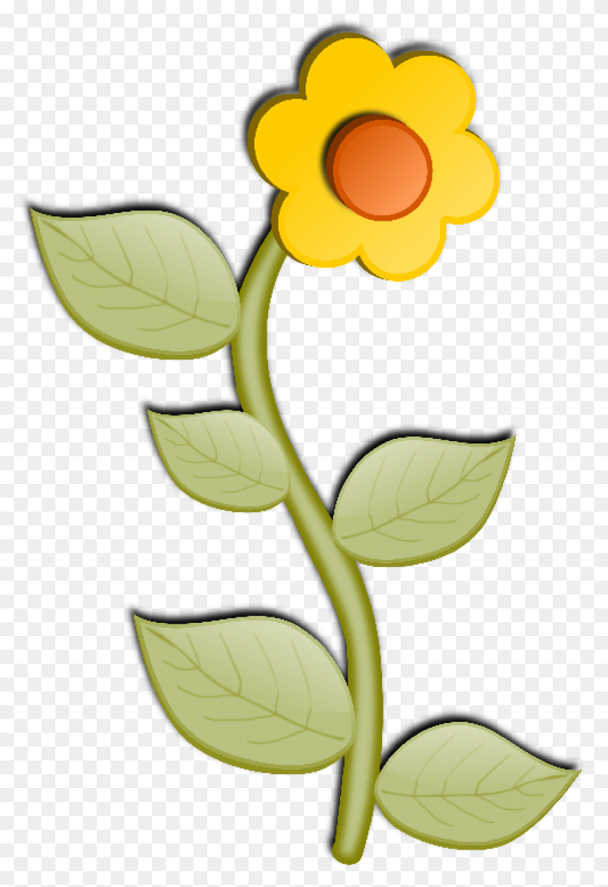 Flowers, Nature, Plants, Sunflower,