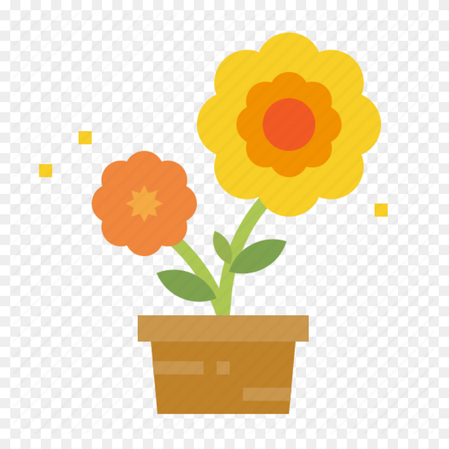 Flowers, Nature, Plants, Sunflower,
