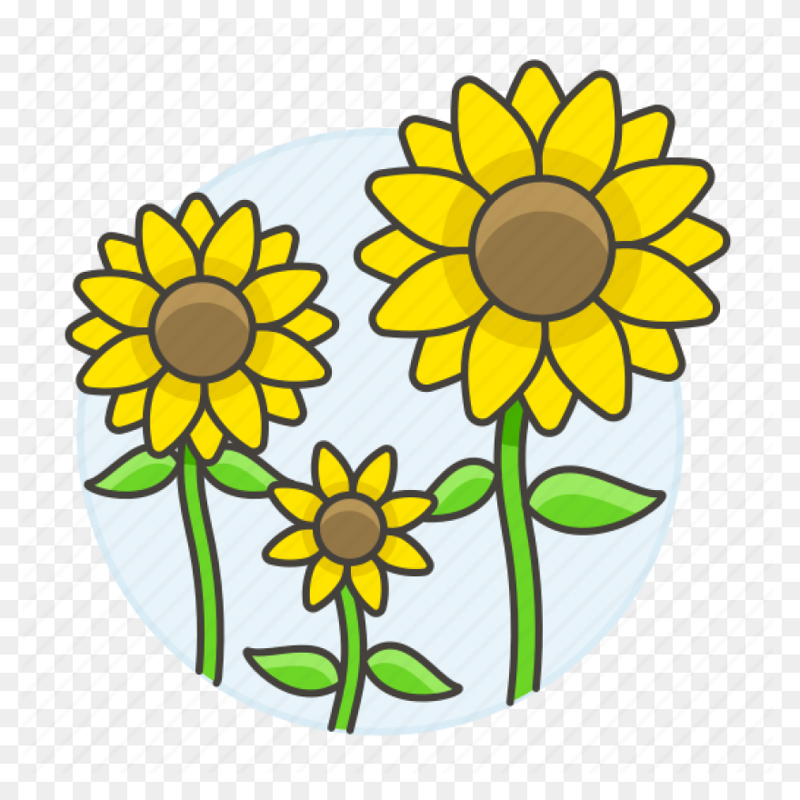 Flowers Nature Plants Sunflower Yellow - Flower Plants