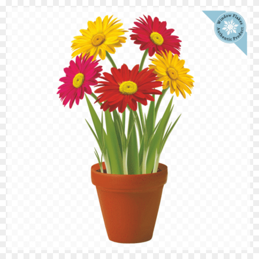 Flowers, Nature, Plants, Sunflower,