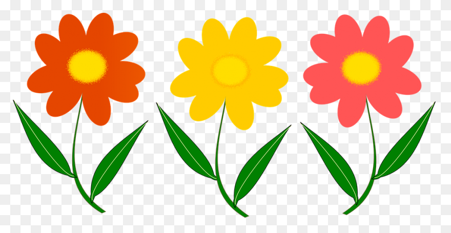 Flowers, Nature, Plants, Sunflower,