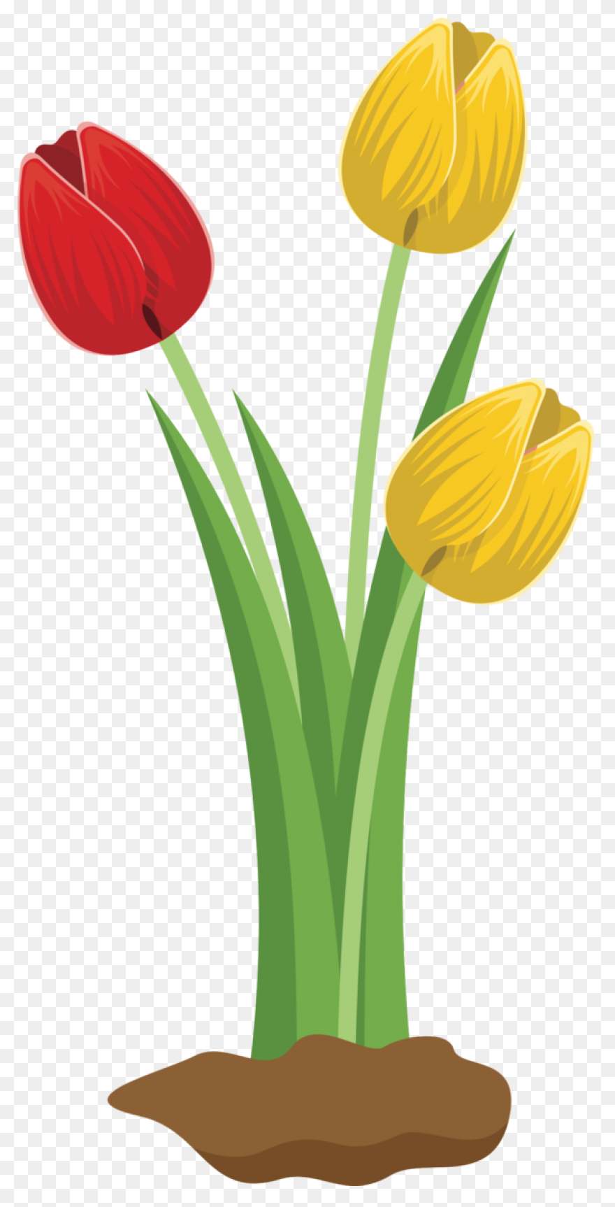 Flowers, Nature, Plants, Sunflower,