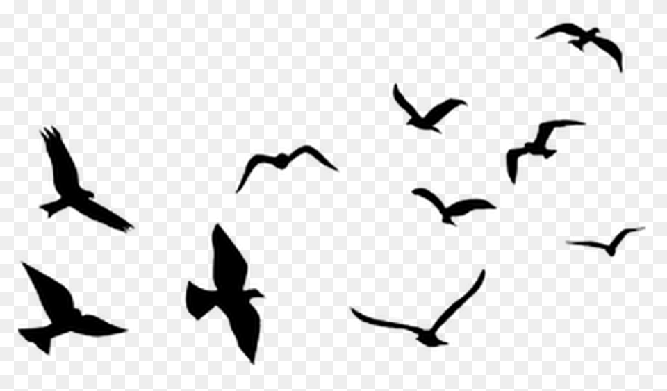 Airplane Flight Balloon Clipart Flying - Flock Of Birds