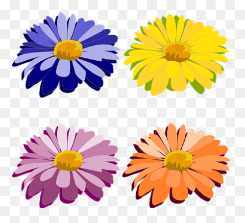 ✿⁀Flꭷꮗers‿✿⁀ Button F