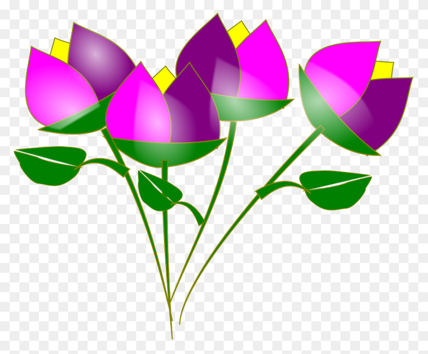 ✿⁀Flꭷꮗers‿✿⁀ Button Flowers Pink Flowers - Flores