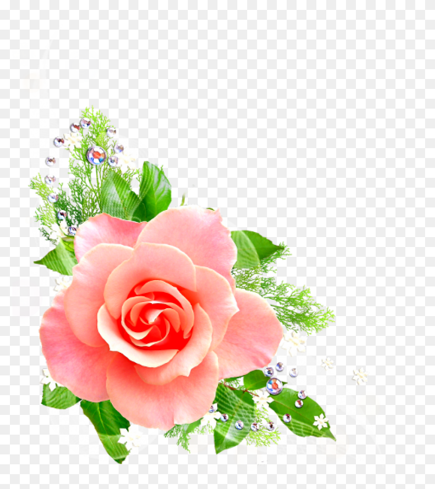 Discover Trending #flower Stickers | - Florais