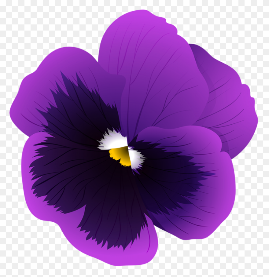 Discover Trending #flower Stickers 