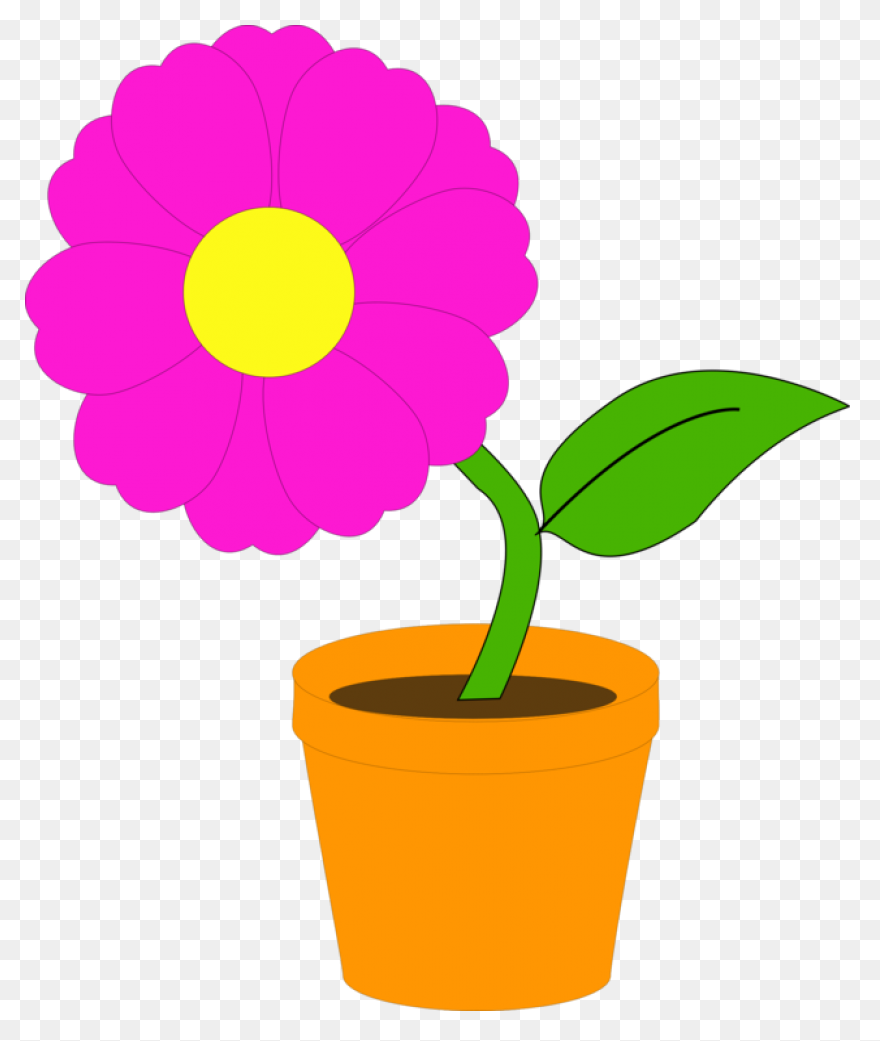 Flower Bouquet Flowers Watering - F