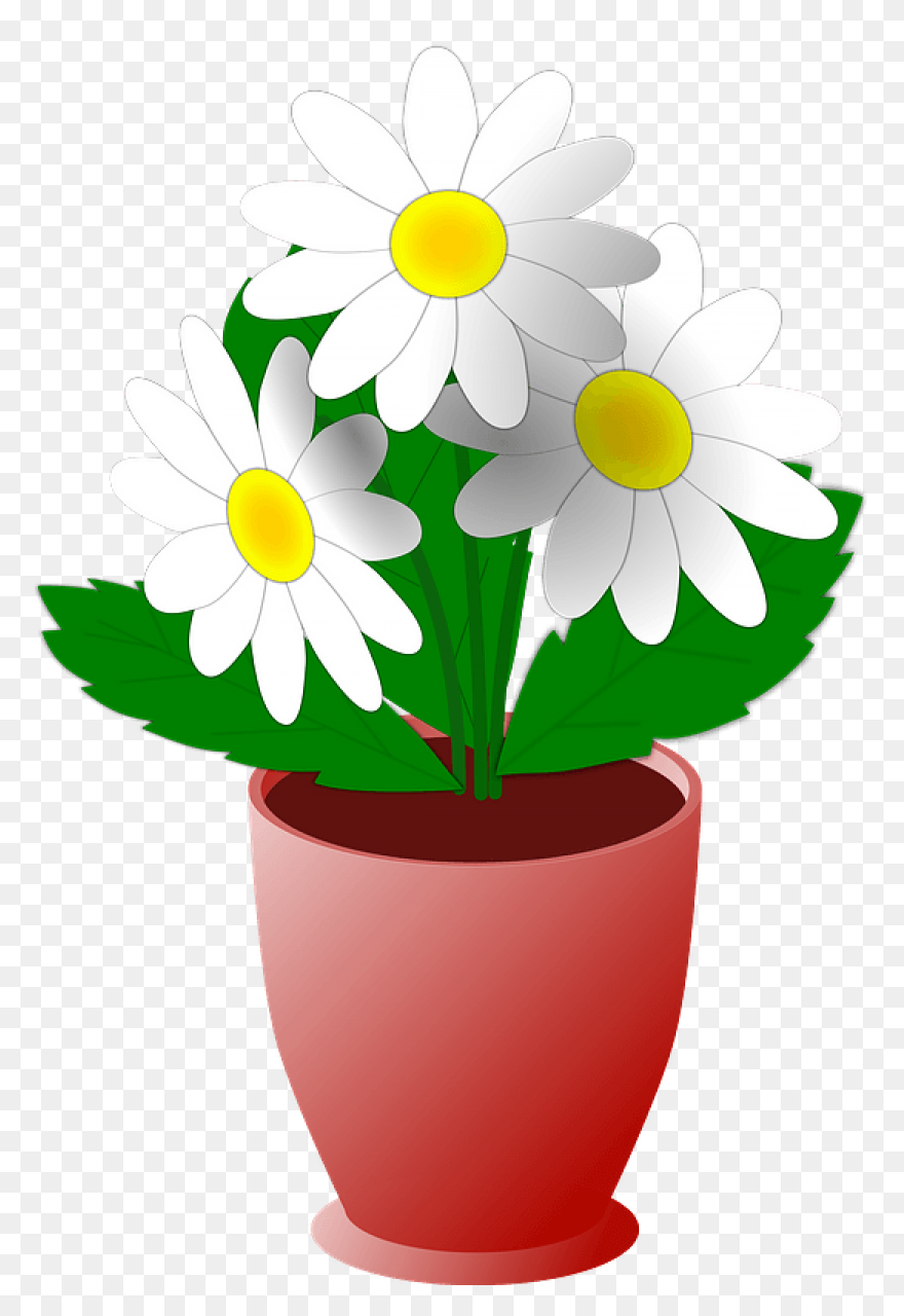 Flower Bouquet Flowers Watering - F