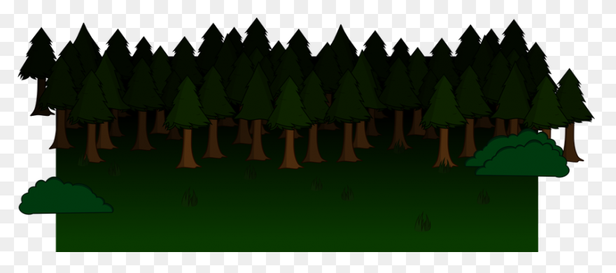 Forest - Forest Clipart | Full Size