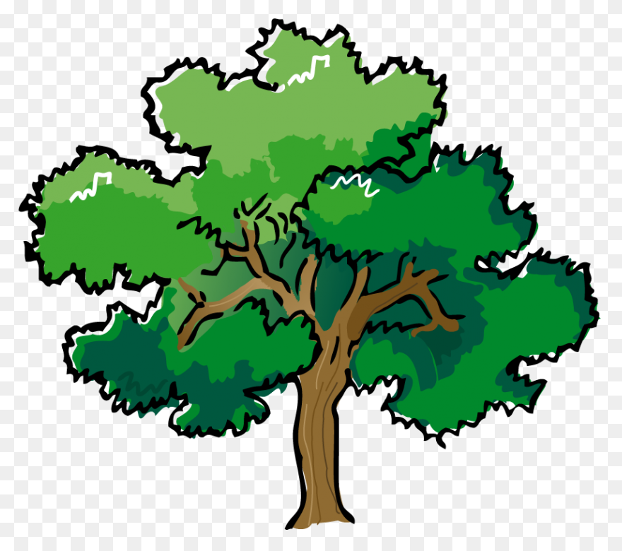 Forest - Forest Clipart | Full Size