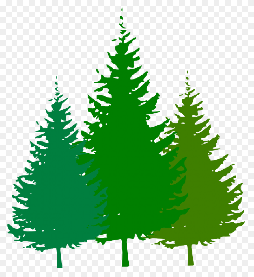 Forest Forest Clipart | Full - Forest