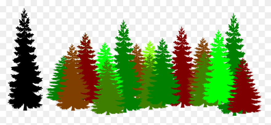 Forest - Forest Clipart | Full Size