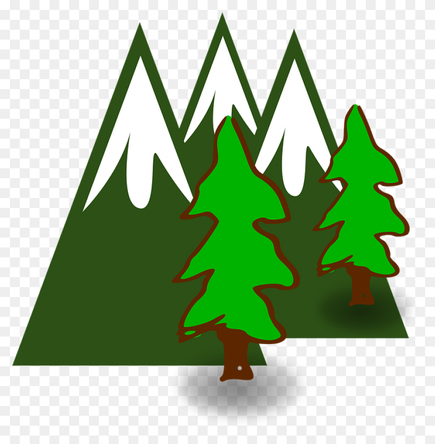 Forest - Forest Clipart | Full Size