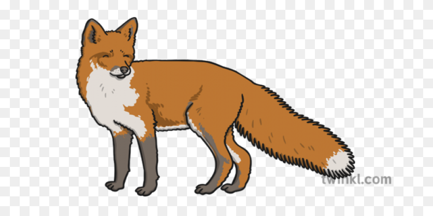 Fox Png Clipart (14 Image) Download