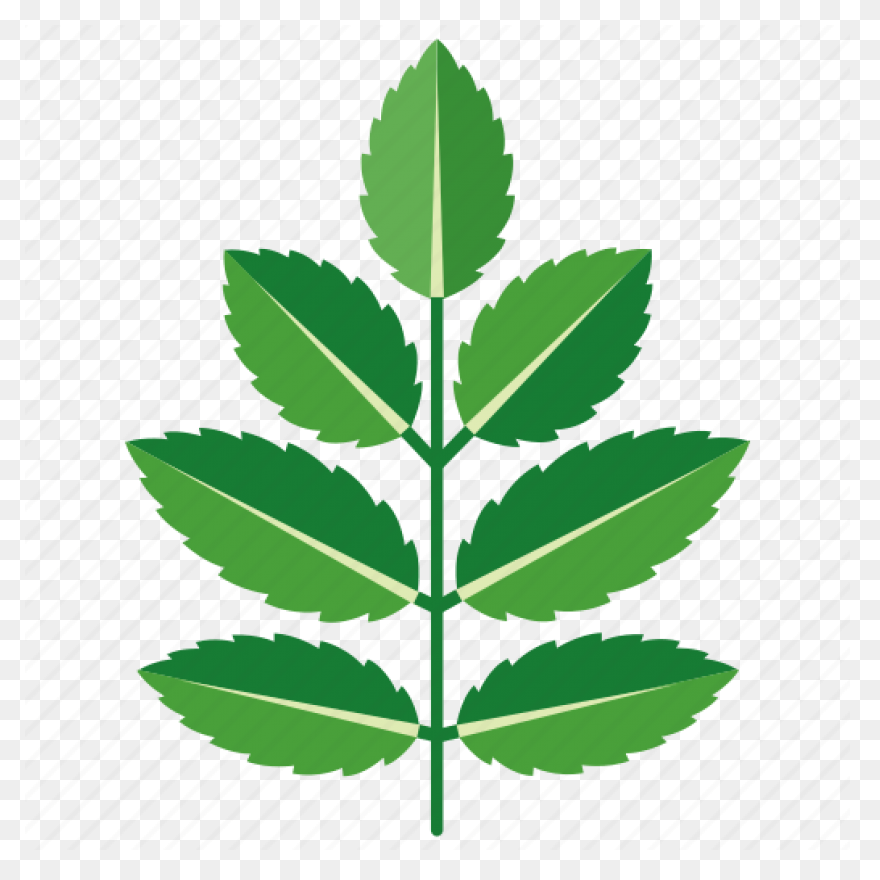 Foliage Clip Art At ClipartFlare Cl