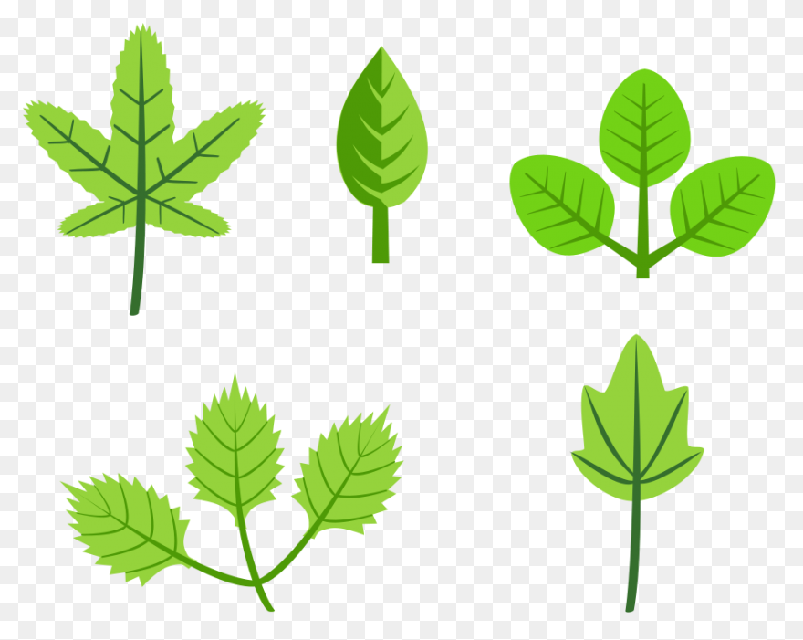 Foliage Clip Art At ClipartFlare Cl