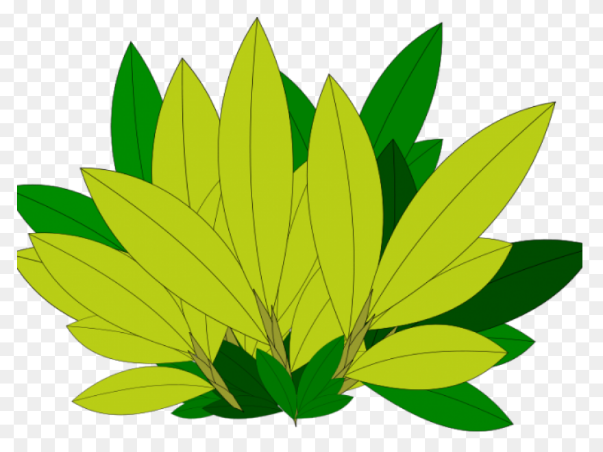Foliage Clip Art At ClipartFlare Cl
