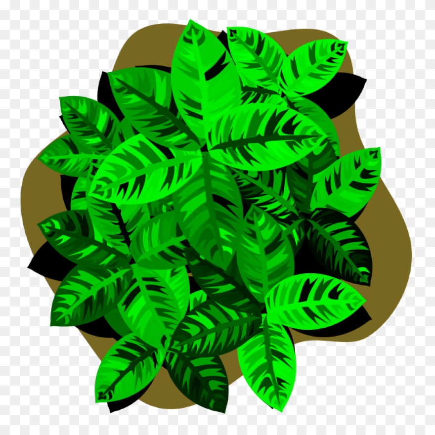 Foliage Clip Art At ClipartFlare Cl