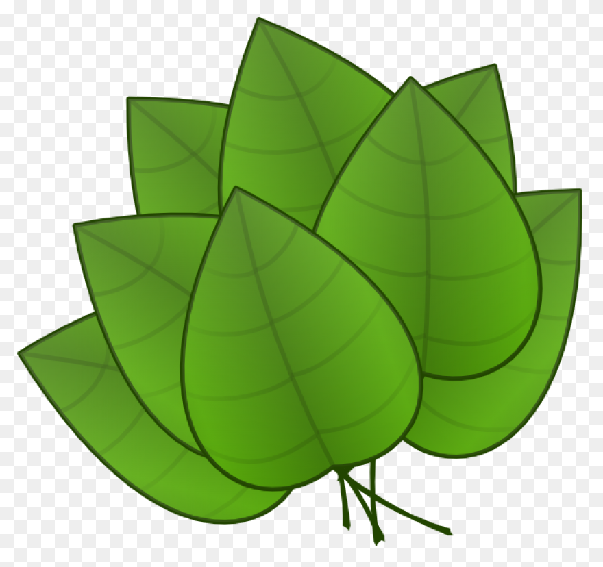 Foliage Clip Art At ClipartFlare Cl