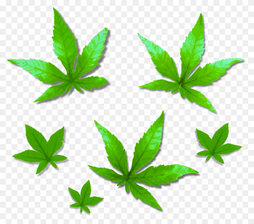 Foliage Clip Art At ClipartFlare Cl