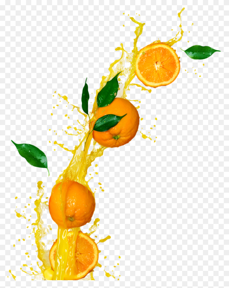 Free Photo Fruits Drink Juice Orang