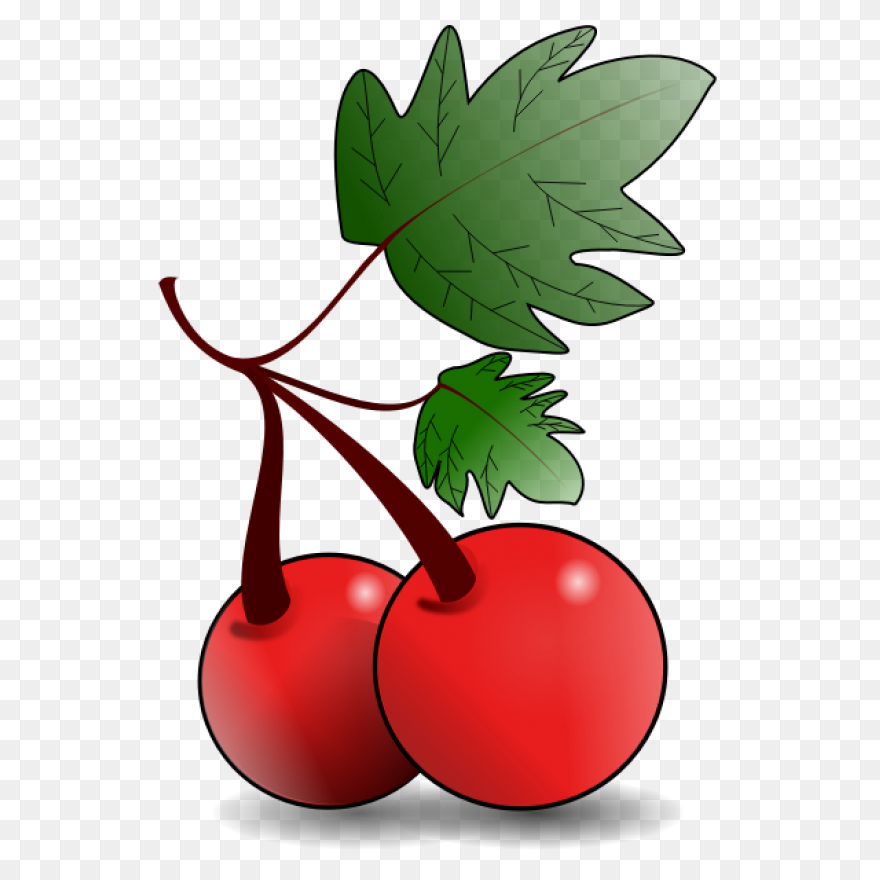 Free Images Of Fruit, Download Free