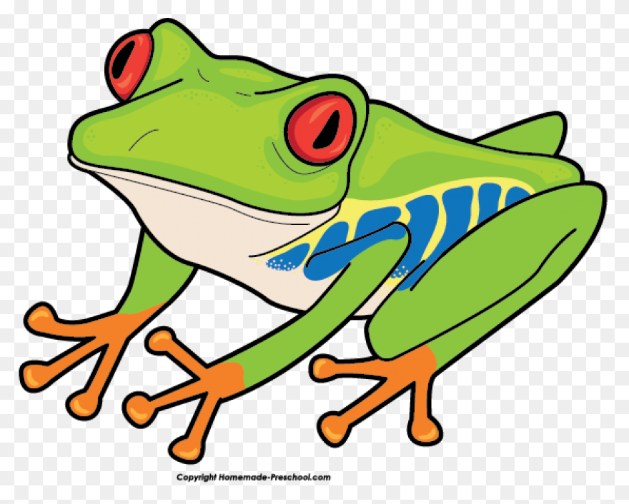 Free Frog Clipart 3  - Frog