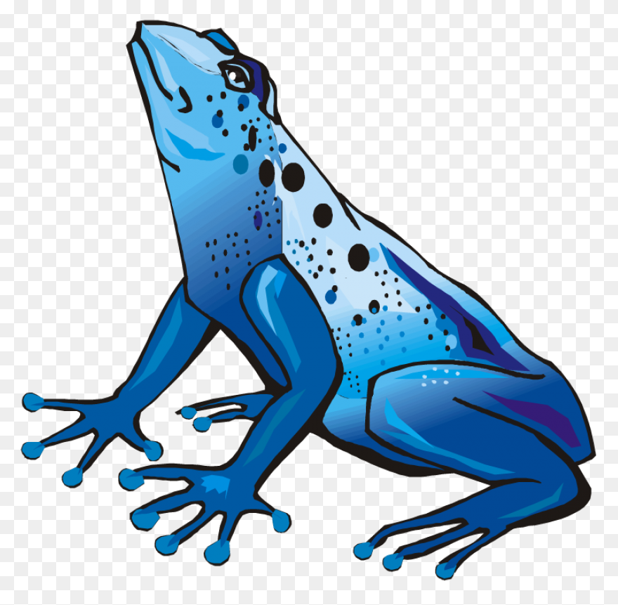 Free Frog Clipart  - Frog