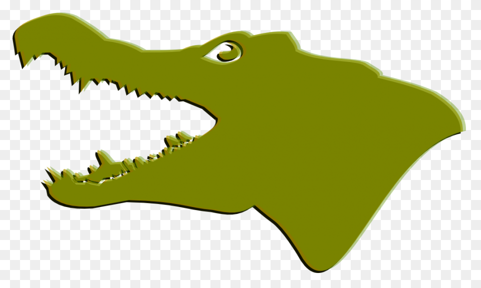 Florida Gators - Wikipedia