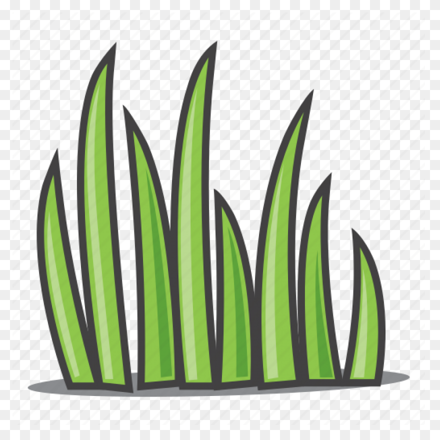Garden, Grass, Green, Nature, Weed,