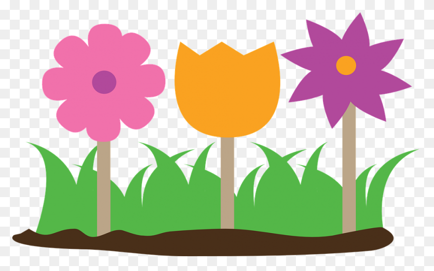 Garden, Grass, Green, Nature, Weed,