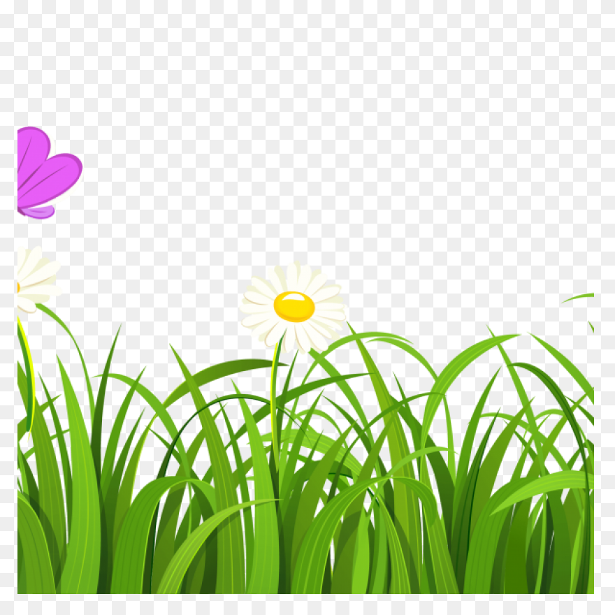 Garden, Grass, Green, Nature, Weed,