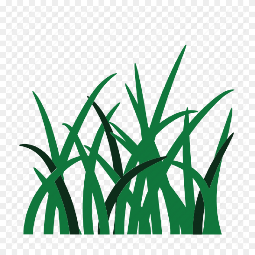 Garden Grass Green Nature Weed - Garden Grass