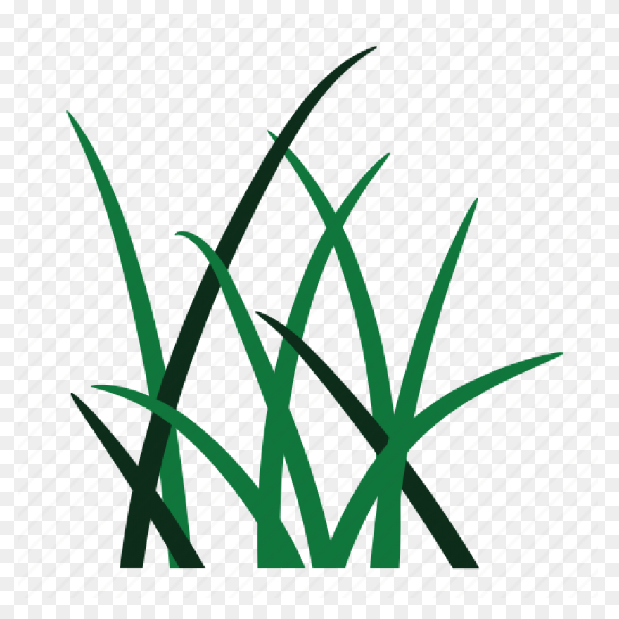 Garden, Grass, Green, Nature, Weed,