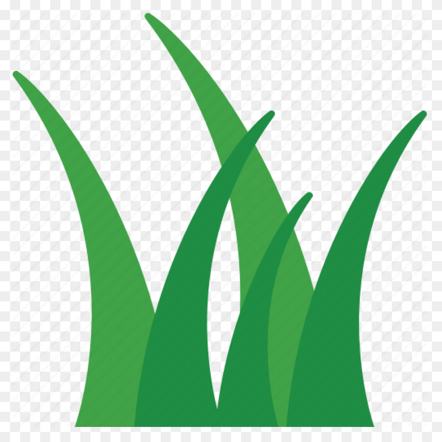 Garden, Grass, Green, Nature, Weed,
