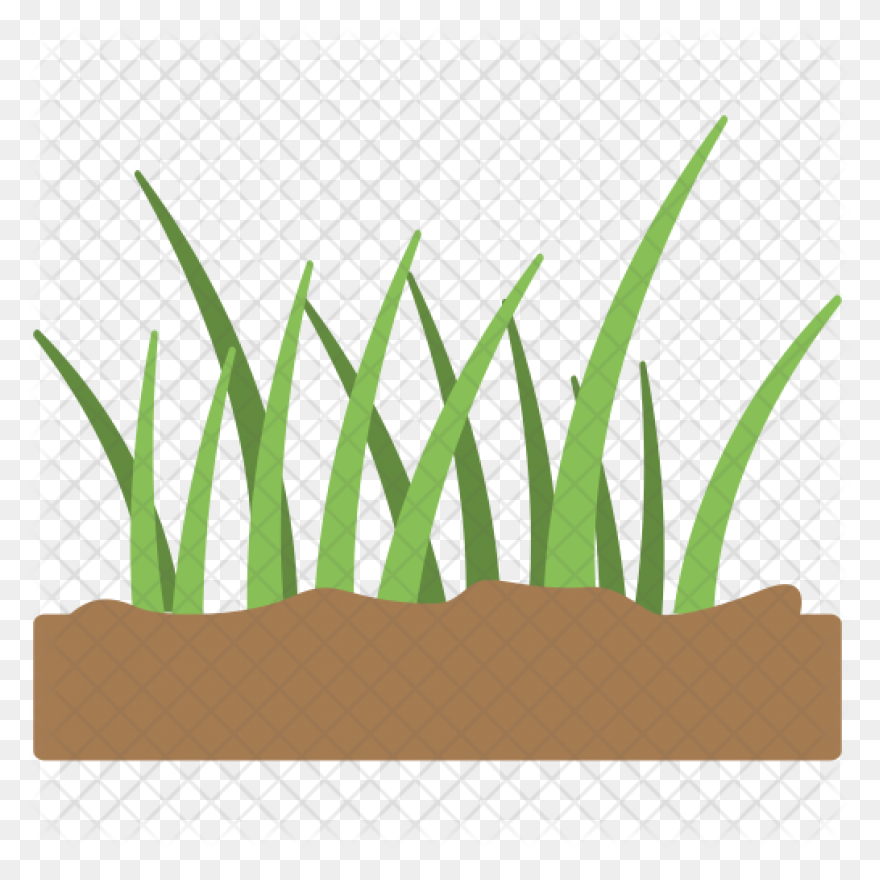 Garden, Grass, Green, Nature, Weed,
